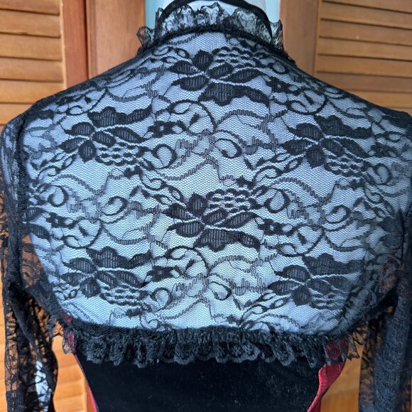 Gothic Victorian Vampire Bloody Garden of Delight Black & Red Lace Velvet Gown - Picture 12 of 15